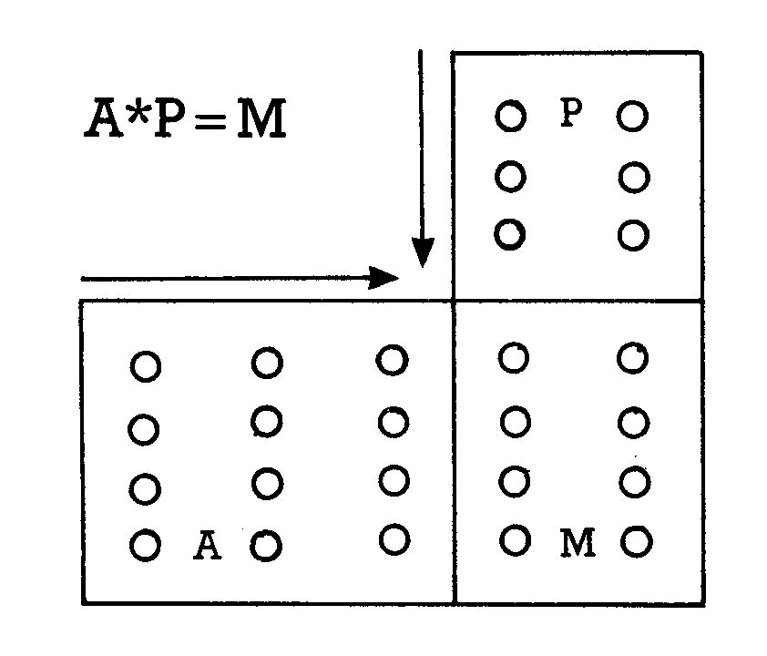 Schematische Anordnung dreier Felder A, P und M mit Kreissymbolen und Pfeilen