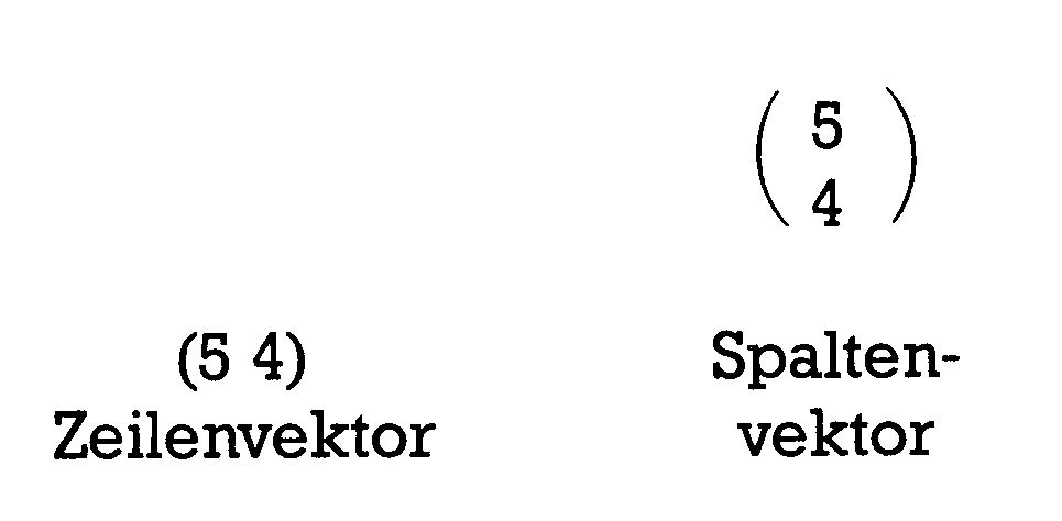 Zeilenvektor (5 4) und Spaltenvektor mit den Werten fünf und vier