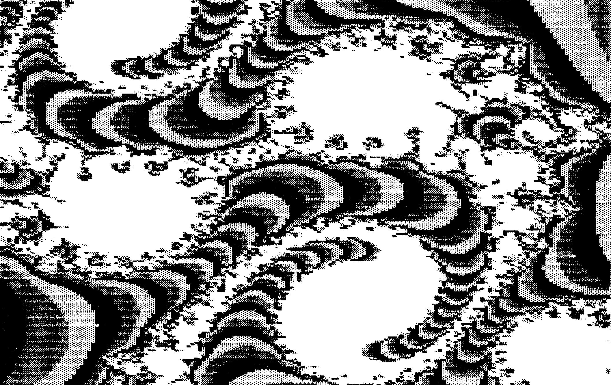 Schwarzweiss-Hardcopy einer Fraktalgrafik mit spiralförmigen Mustern