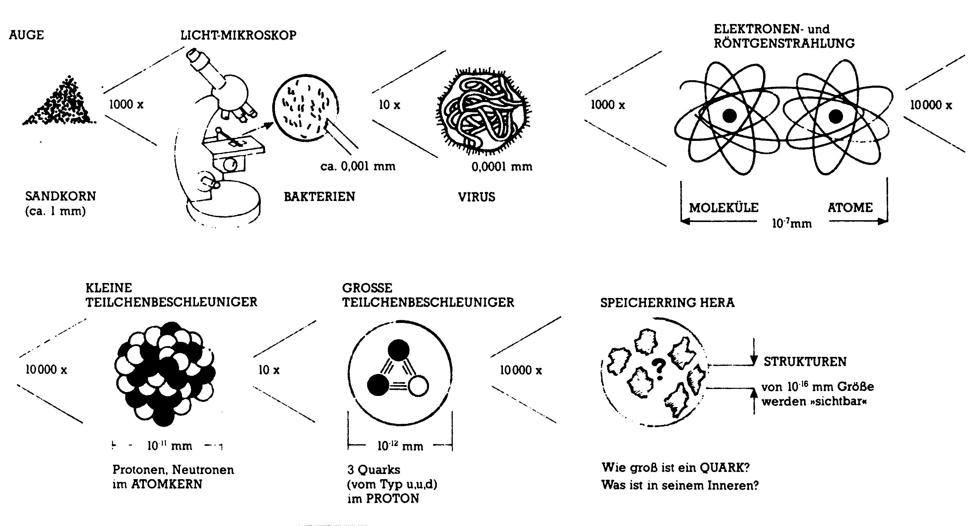 Größenskala vom Sandkorn über Bakterien und Atome bis zu Quarks