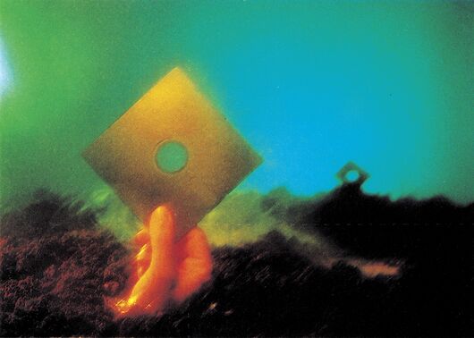 Surreale Fotomontage einer Diskette mit Fuß über einem Sumpf