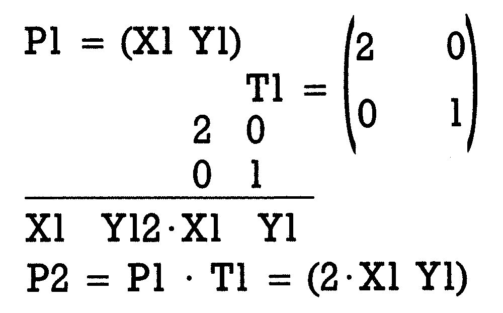 Grüner Formelkasten: P1 = (X1 Y1); Matrix T1; P2 = P1·T1 = (2·X1 Y1)