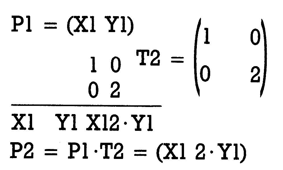 Grüner Formelkasten: P1 = (X1 Y1); Matrix T2; P2 = P1·T2 = (X1 2·Y1)