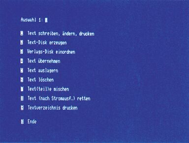 Blauer Bildschirm mit einem nummerierten Menü aus mehreren Textzeilen