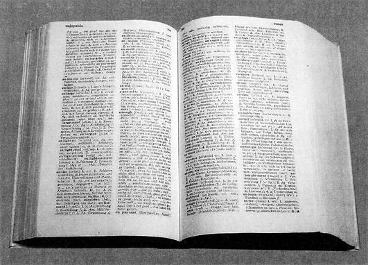 Ein aufgeschlagenes Wörterbuch mit zwei eng bedruckten Spalten pro Seite, auf grauem Hintergrund