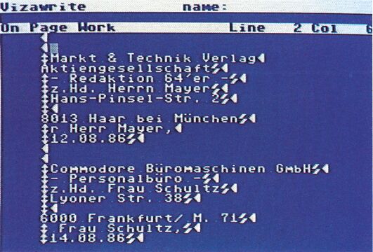 Vizawrite-Bildschirmfoto der »Work Page« mit mehreren Firmenanschriften und Anreden