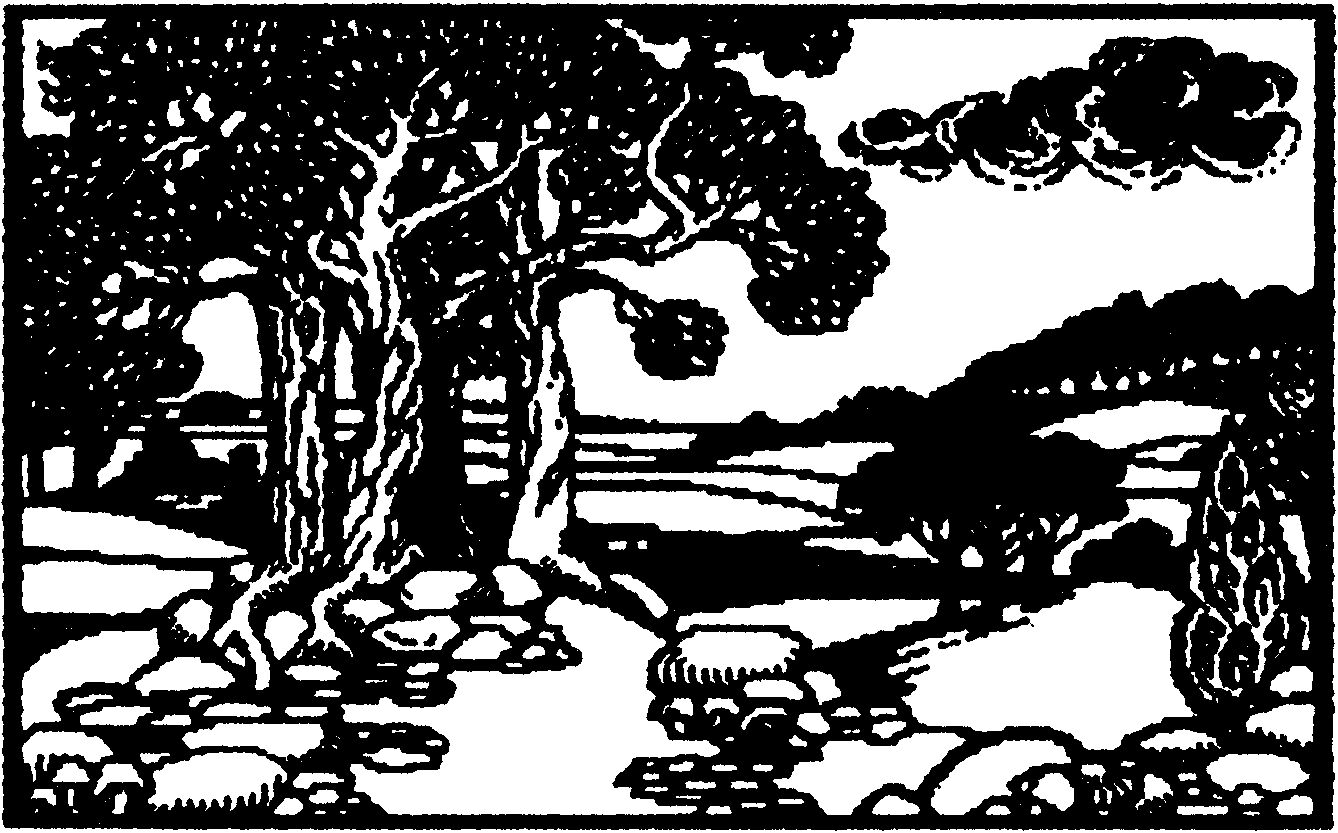 Kleiner Schwarzweiß-Ausdruck einer Landschaft mit Bäumen, Bach und Wolken