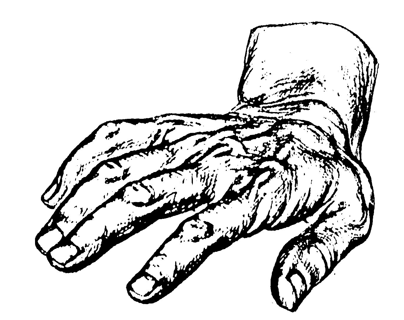 Schwarzweiß-Zeichnung einer Hand