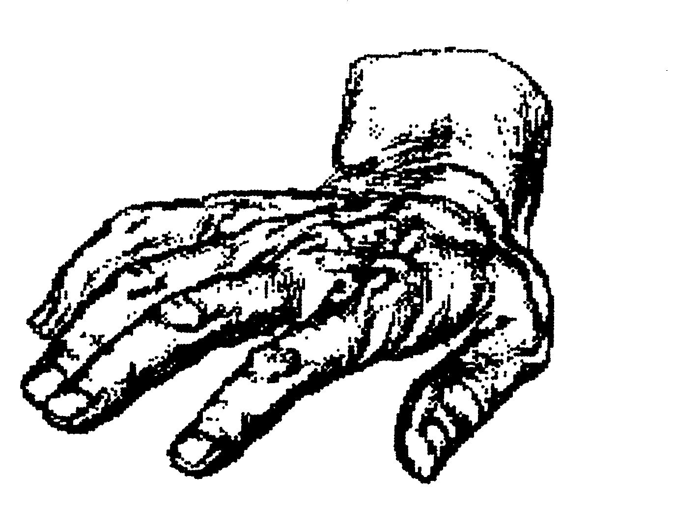 Gescannte Schwarzweiß-Zeichnung derselben Hand, etwas gröber