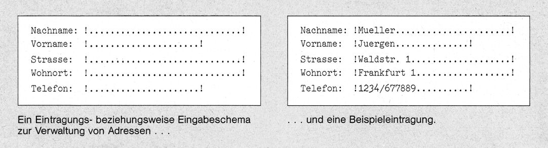 Zwei Bildschirmmasken mit den Feldern Nachname, Vorname, Strasse, Wohnort und Telefon, links leer, rechts mit Beispieldaten ausgefüllt