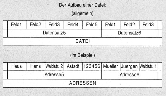 Schema: Felder bilden Datensätze, Datensätze bilden die Datei, darunter ein Beispiel mit Adressdaten