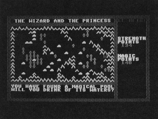 Bildschirmfoto eines Spiels mit dem Titel »THE WIZARD AND THE PRINCESS«: Landschaft aus Bergen und Bäumen, rechts »STRENGTH POINTS« und »MAGIC POINTS«, unten der Text »YOU HAVE FOUND A MAGICAL POOL WILL YOU DRINK OF ITS WATERS?«