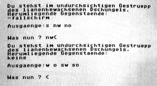 Bildschirmfoto: »Du stehst im undurchsichtigen Gestruepp des lianenbewachsenen Dschungels.« mit Ausgängen und der Frage »Was nun ?«