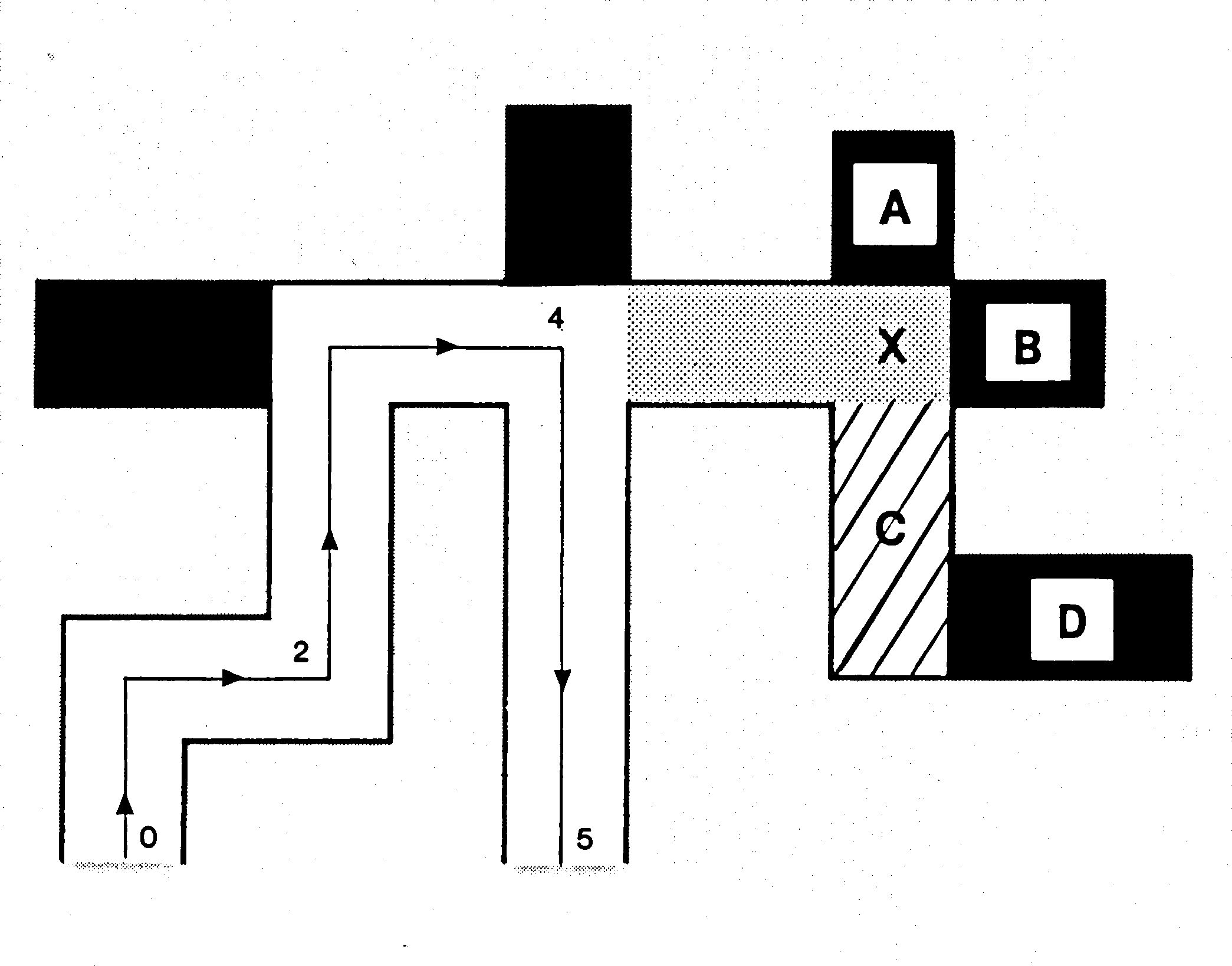 Irrgarten mit nummeriertem Weg von 0 bis 5, geschwärzte Sackgassen und die Felder A, B, C, D und X